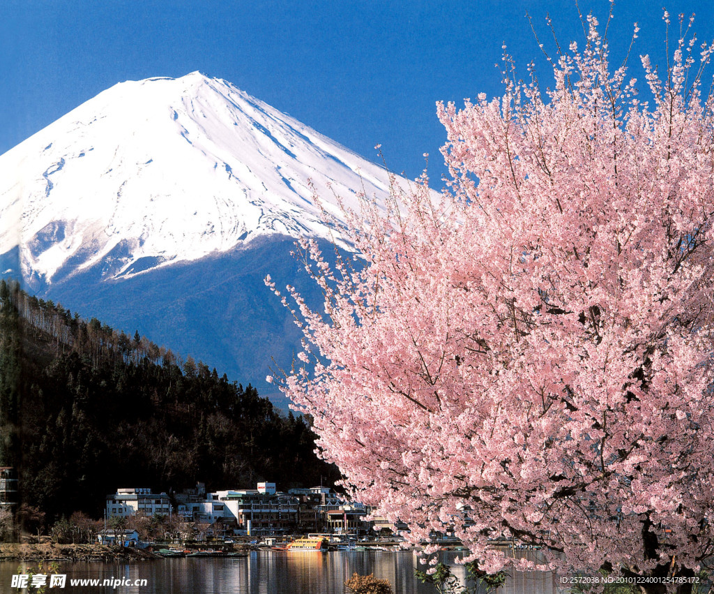 富士山