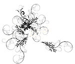 花纹