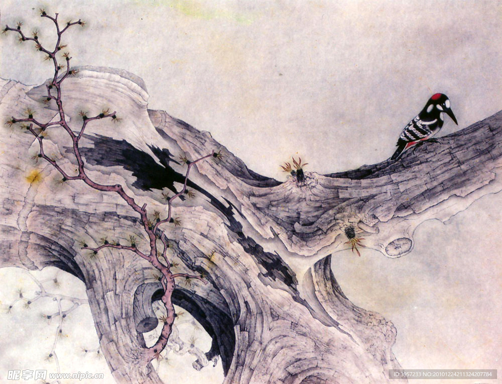 春芽