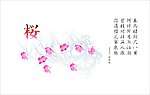 樱花