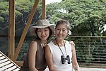 旅游