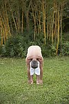 练瑜伽的男人