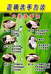 洗手步骤