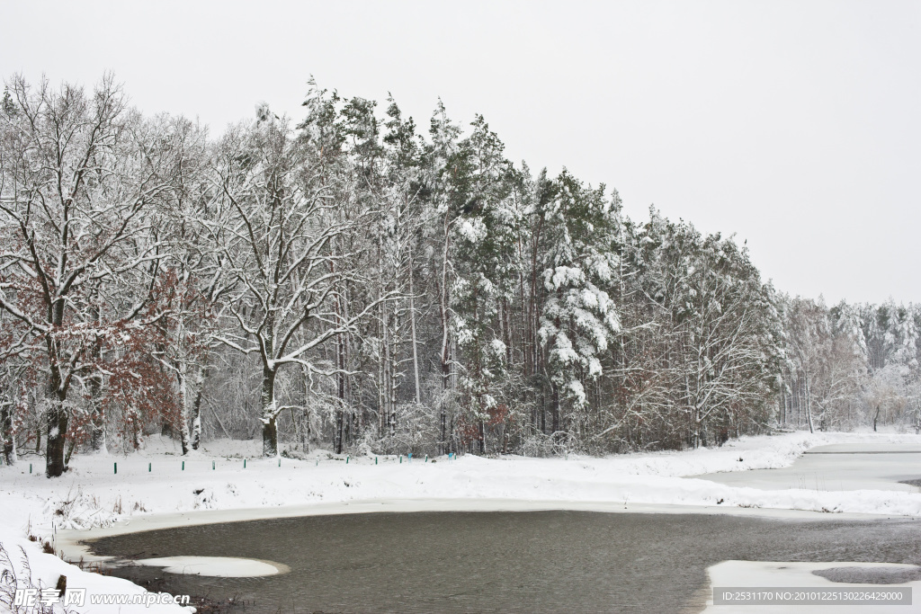 雪景