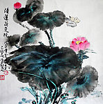 清莲荷更艳