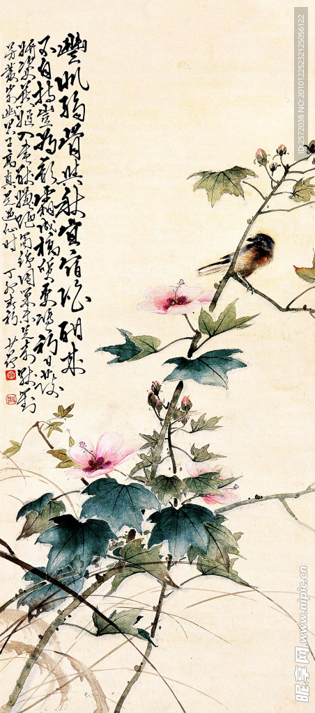 花鸟小品