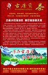 县河茶