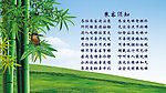 乘梯须知