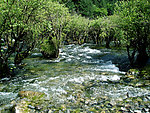 九寨沟风光