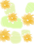 花纹