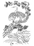 松鹤长春