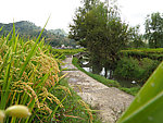 稻田小路
