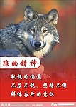 狼的精神