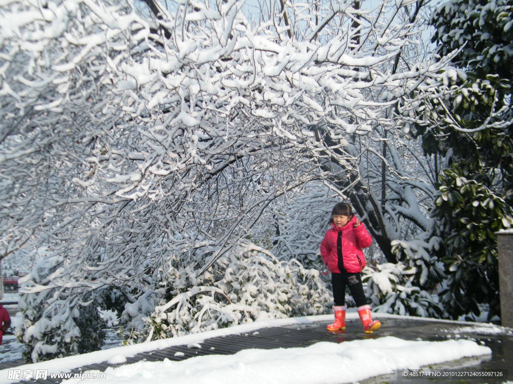 雪景