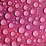 水滴