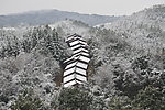 风景