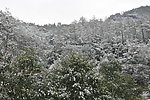 风景