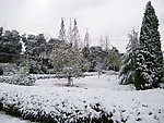 雪景