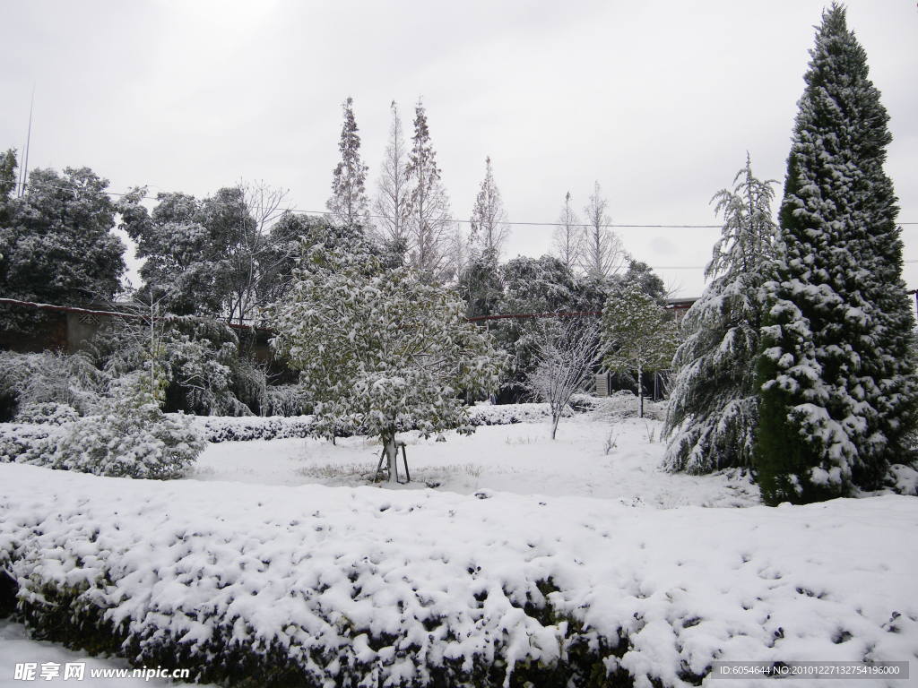 雪景
