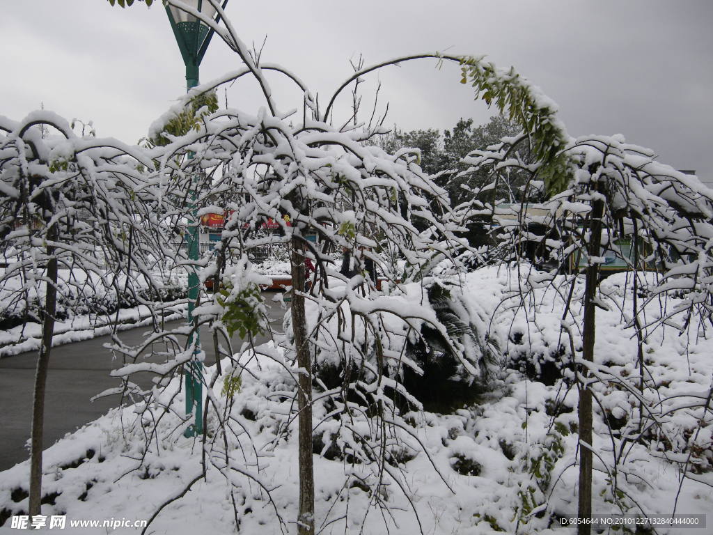 雪景
