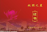 校园之星证书