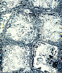 水珠水花水滴