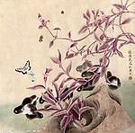 小黑鸡