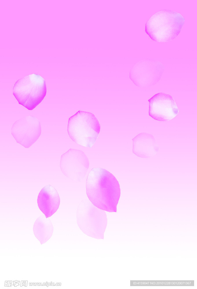 花瓣纷飞