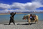 自然风景
