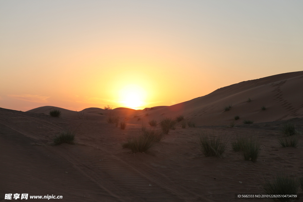 阿拉伯大沙漠