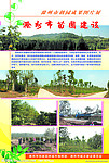 苗圃建设