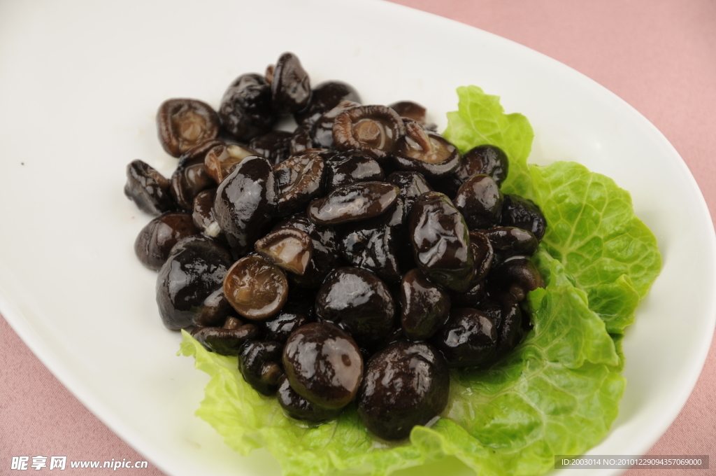 小香菇