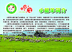 小肥羊