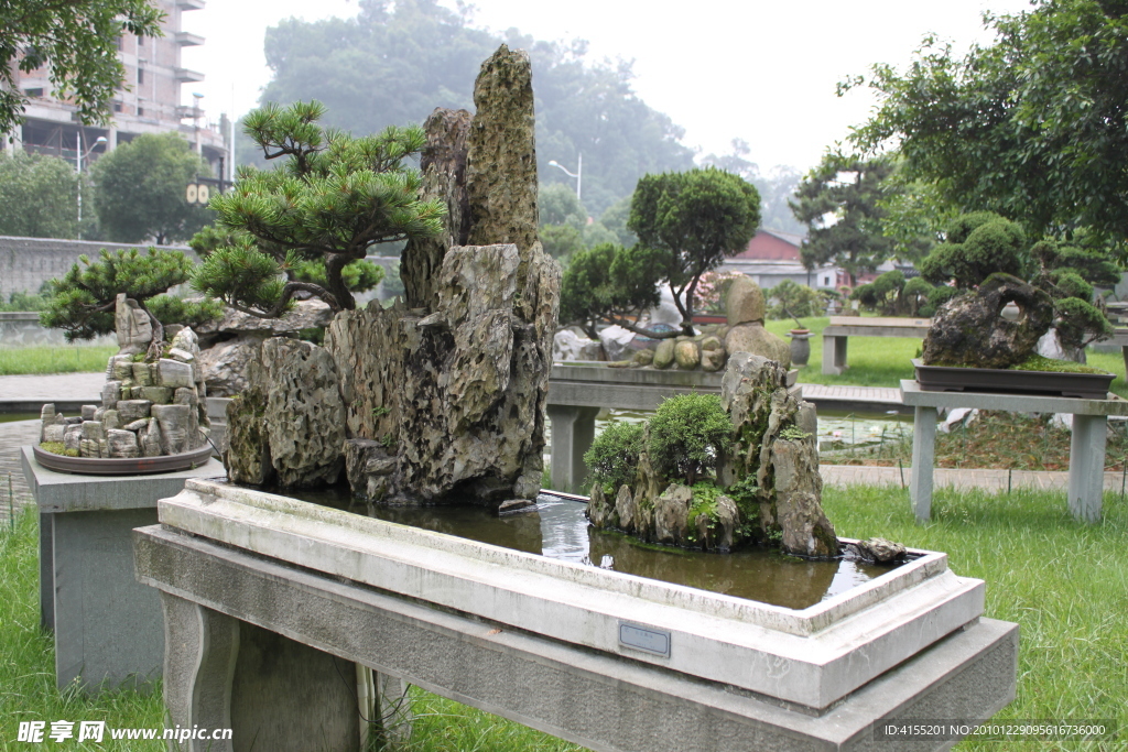 山石树桩盆景 云雾山溪