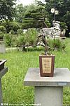 黑松 壁谷探幽