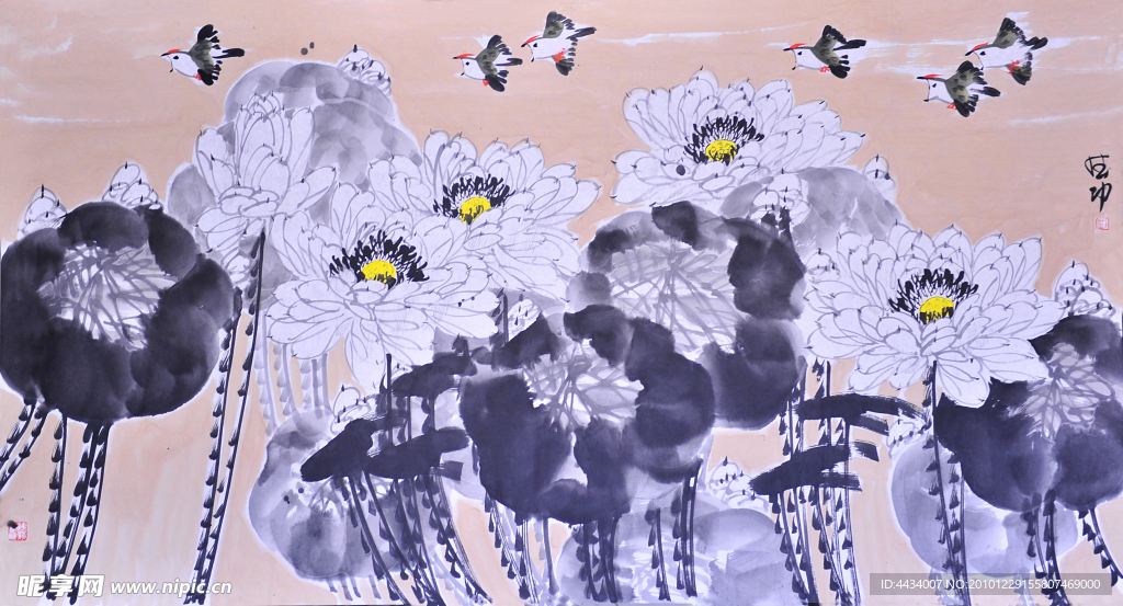 花鸟