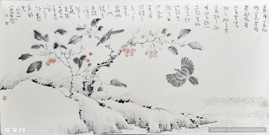 花鸟