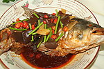 大盆鲩鱼