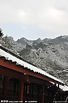 风景