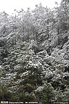 风景