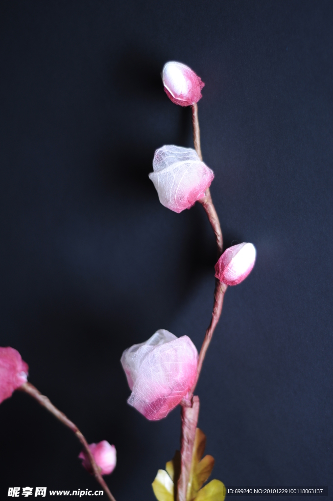 粉色干花