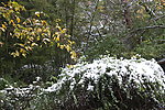 下雪