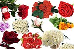 玫瑰花束