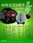 野生茶文化推广