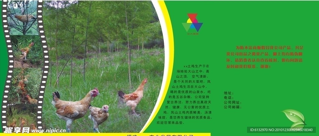 鸡箱