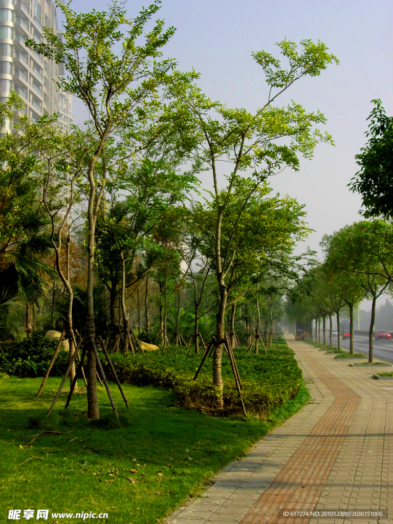 江路侧道景观