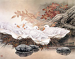 春晓