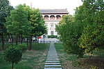 河南大学