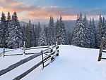 冬季雪景高清图片