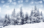 冬季雪景高清图片